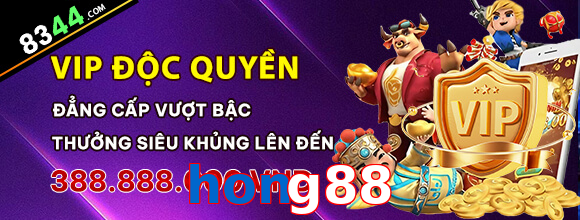 hong88